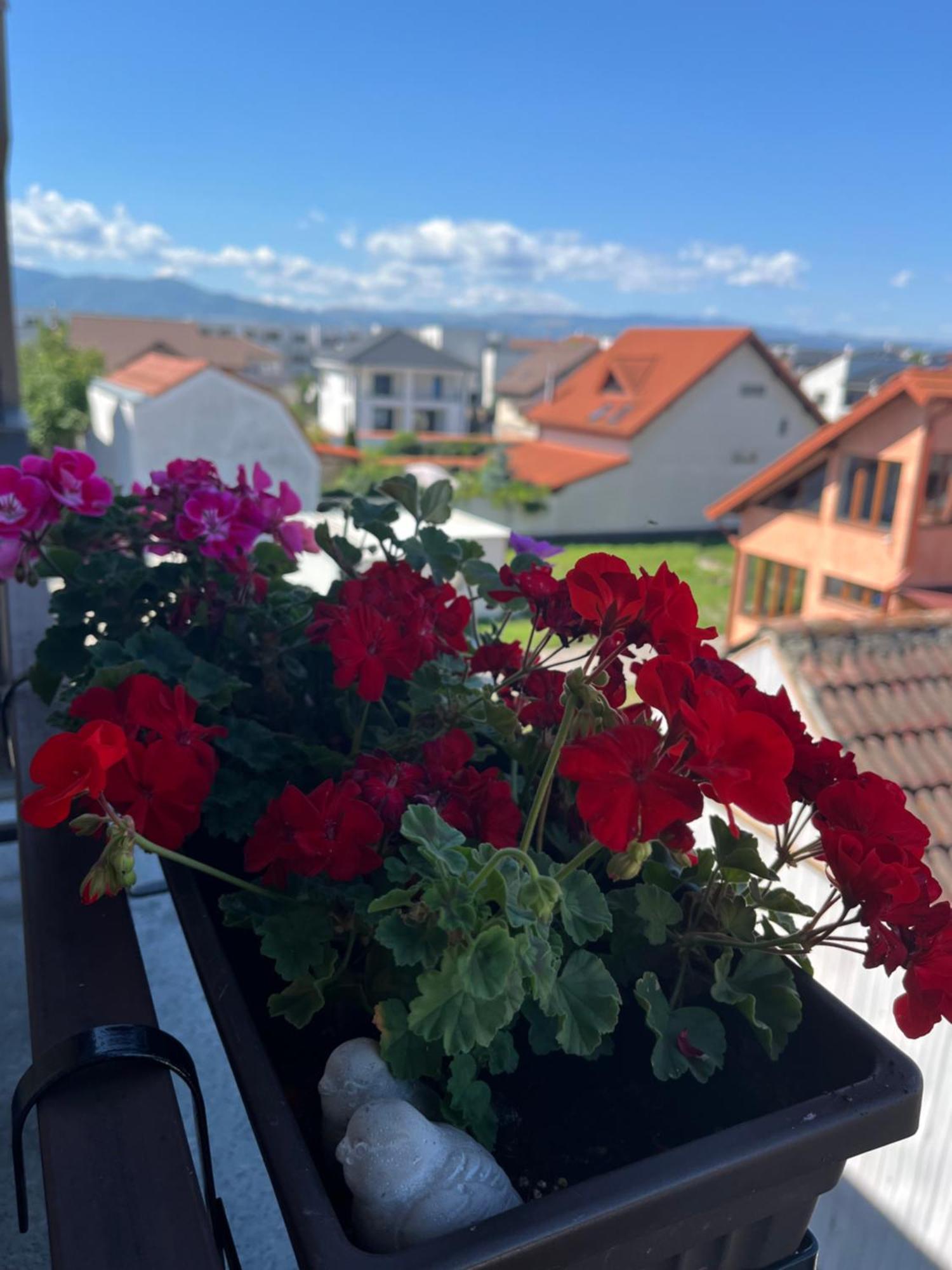 Apartament Acasa Sibiu Eksteriør bilde